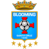 Blooming logo