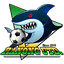 Ranong United FC logo