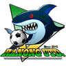Ranong United FC logo