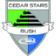 Cedar star logo