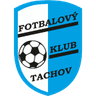 Tachov logo