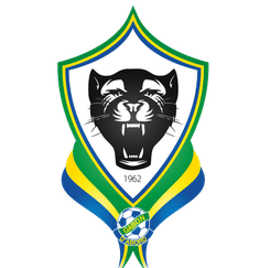 Gabon logo