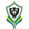 Gabon logo