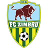 Zimbru Chisinau logo