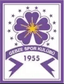 Guzide Gebzespor U19 logo