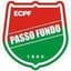 EC Passo Fundo logo - Bra Campeonato Gaucho 32944 Football Score