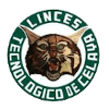 Celaya Linces logo - Rio VS Celaya Linces Result