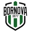 Bornova 1877 U19 logo