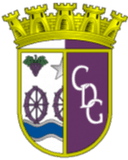 CD Gouveia U19 logo - U VS Cd Gouveia U Score Today
