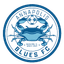 Annapolis Blues logo
