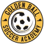 Golden Ball Soccer Academy logo