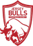Jersey Bulls logo