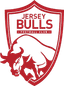 Jersey Bulls logo