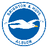 Brighton U21 logo