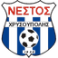 Nestos Chrisoupolis U19 logo