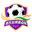 Nanchong Team logo - Sichuan City Football League 36608 Scores