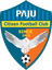 Paju Citizen FC logo - Kor K 32340 Football Live