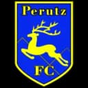 Papai Perutz logo - Veszprem VS Papai Perutz Result Today