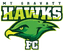 Mount Gravatt Hawks logo