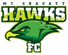 Mount Gravatt Hawks logo