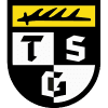 TSG Balingen logo - Balingen VS Vfb Stuttgart Sport