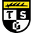TSG Balingen logo