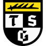 TSG Balingen logo