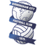 Birmingham U21 logo
