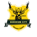 Berekum City logo - Fc VS Berekum City Live Score