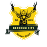 Berekum City logo