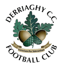 Derriaghy FC logo - Willowbank VS Derriaghy Fc Result