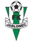 Jablonec U19 logo