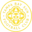 Tampa Bay Sun Women logo