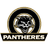 Pantheres logo - Ben Ligue 33305 Live