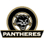 Pantheres logo