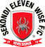 Eleven Wise logo