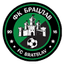 Bratslav Vinnytsia logo