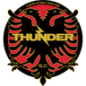 Dandenong Thunder logo