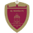 Al Wahda(UAE) logo - Alnasr Dubai Fixtures