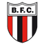 Botafogo-SP Youth logo