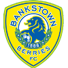 Canterbury Bankstown FC logo - Fc VS Blacktown Spartans Live Score