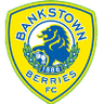 Canterbury Bankstown FC logo