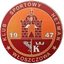 Hetman Wloszczowa logo