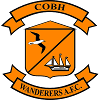 Cobh Wanderers logo - Wanderers VS University College Cork Score Today