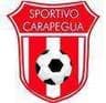 Deportivo Carapegua logo