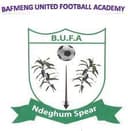 Bafmeng United logo - De VS Bafmeng United Live Score Today