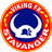 Viking U19 logo