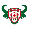 Gomido FC logo - Kara VS Gomido Fc Result Today