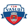 CSM Vaslui logo