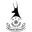 AFC Telford United logo